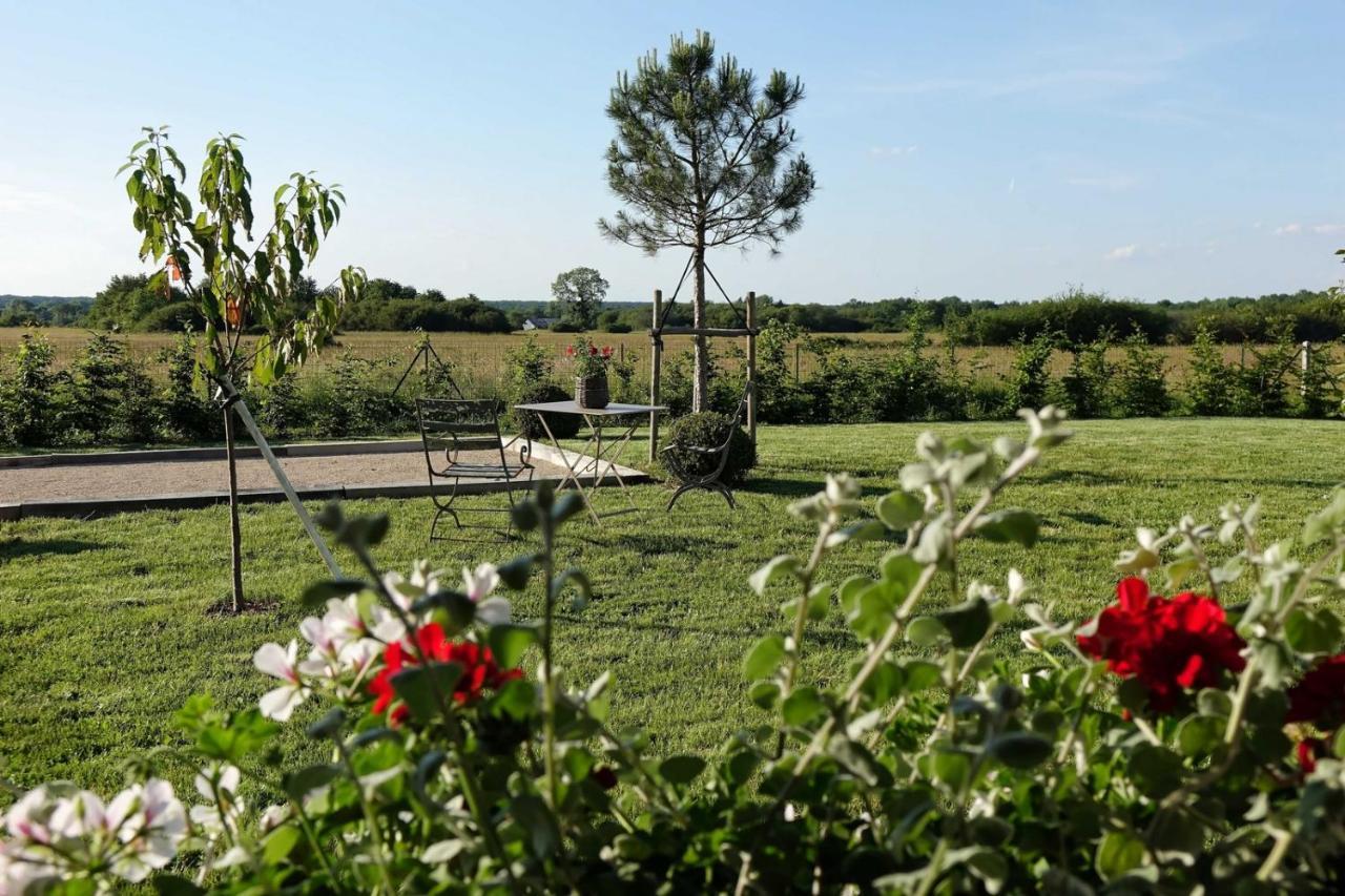 Le Montillon Tour-en-Sologne Esterno foto