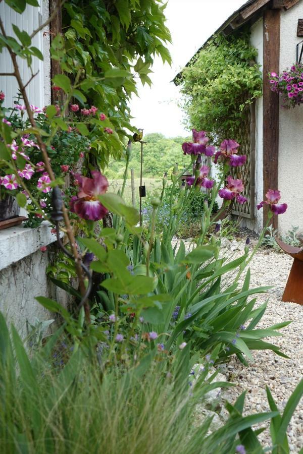 Le Montillon Tour-en-Sologne Esterno foto